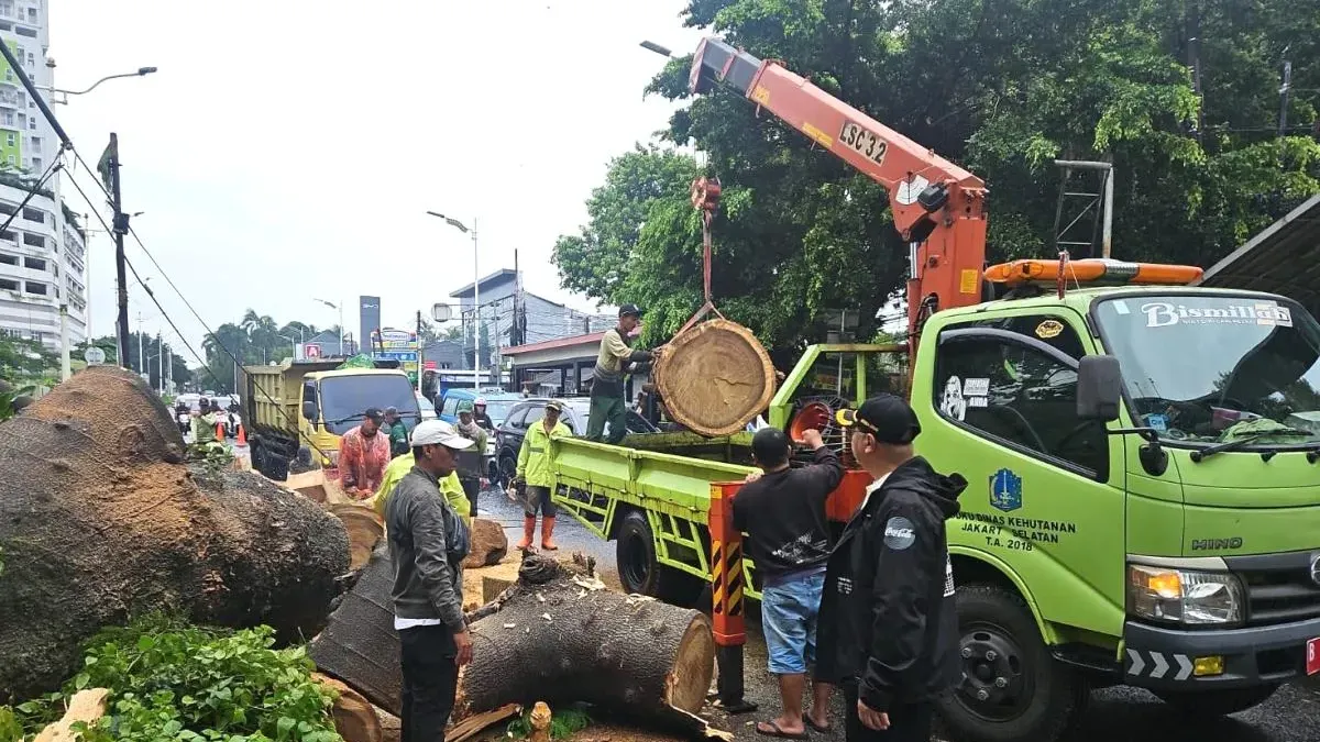 Petugas gabungan berhasil mengevakuasi pohon tumbang di Jalan Lenteng Agung Raya, Kelurahan Lenteng Agung, Kecamatan Jagakarsa, Jakarta Selatan. (Sumber: Beritajakarta.id | Foto: Beritajakarta.id)