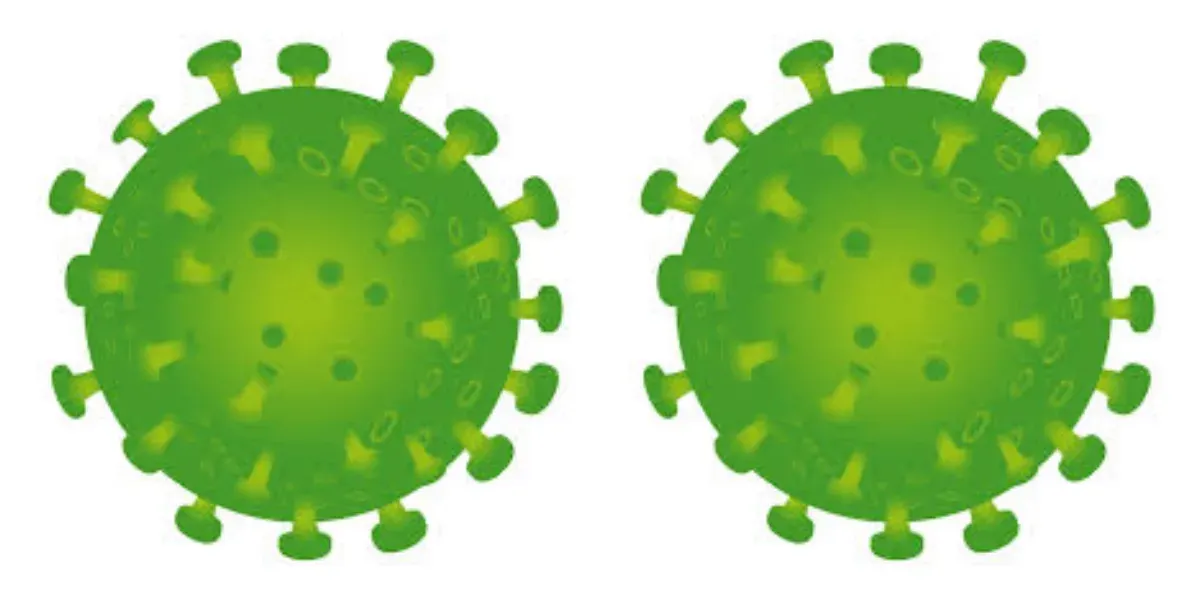 Ilustrasi.Virus Campak (Sumber: pixabay/ iXimus)