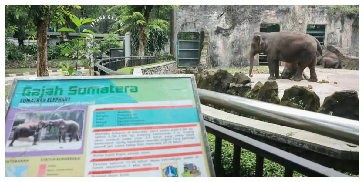 Taman Margasatwa Ragunan (TMR) (Sumber: beritajakarta.id)
