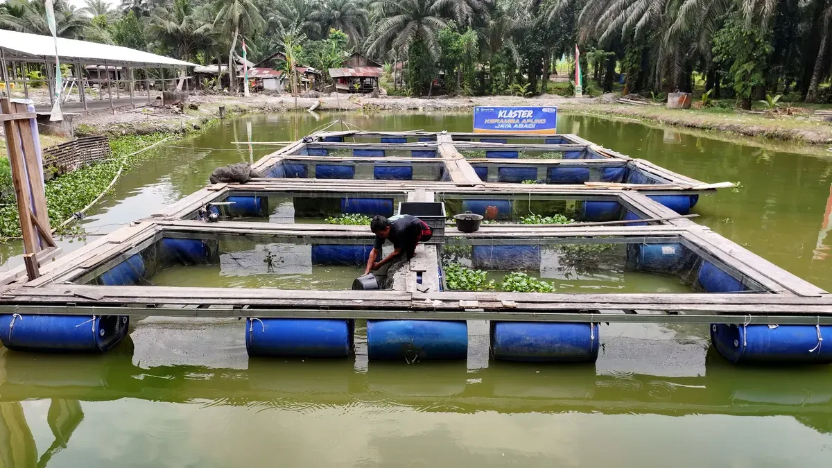 Dari Perkebunan hingga UMKM, Pemberdayaan BRI Perkuat Fondasi Ekonomi Masyarakat Desa Empang Baru