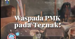 Jelang Idul Adha, Masyarakat Diminta Lebih Waspada dengan Kondisi Hewan Kurban yang Berpotensi Terinfeksi Virus PMK