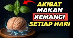 Resep Usia Senja Tapi Tetap Produktif:  Inilah Manfaat Hebat Daun Kemangi yang Jarang Orang Tahu!