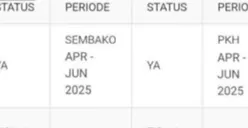 Pencairan Bansos Tahap Kedua Sudah Terpantau di Aplikasi SIKS-NG, KPM PKH dan BPNT Kategori ini Nggak Lagi Kebagian!