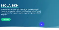 Penting! Begini Cara Cek Penetapan NIP/NI CPNS dan PPPK di Mola BKN
