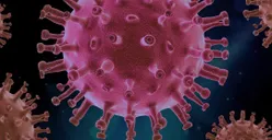 Gawat! Virus HMPV Sudah Ditemukan di Indonesia, Menkes: Mirip Flu Biasa, Jangan Panik