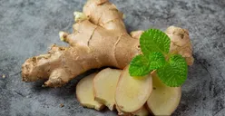 Ginjal Sehat Tanpa Ribet, Ini 5 Makanan Dapur yang Punya Manfaat Luar Biasa
