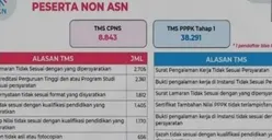 Perlu Diwaspadai Calon Pelamar CPNS 2025, Ini Alasan TMS Administrasi Terbanyak di CPNS 2024