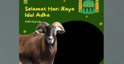 Klik untuk Download! 15 Link Twibbon Idul Adha 2025: Meriahkan Hari Raya Kurban