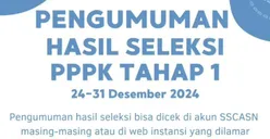Siap-siap! Pengumuman Kelulusan PPPK 2024 Diumumkan, Pahami Sistem Penilaian dan Kode Kelulusan di Sini...