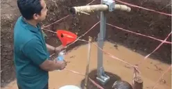 Rahasia Terungkap! Bambu Pethuk yang Menggemparkan Warga Cianjur Ternyata Bukan Fenomena Langka, Inilah Penjelasannya!   