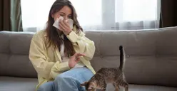 Waspada! Alergi Bulu Kucing Bisa Sebabkan Sesak Napas hingga Reaksi Parah, Kenali Gejala, Penyebab, dan Cara Mengatasinya dengan Tepat