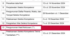 Pengumuman PPPK Tahap 1, Cek Hasil Seleksi Online Mulai 24 hingga 31 Desember 2024!