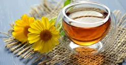 Nekat Bisa Berdampak Merusak! Ini Lima Hal yang Wajib Diperhatikan Sebelum Mengkonsumsi Obat atau Ramuan Herbal