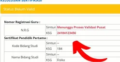 Guru PPG Wajib Tahu! Inilah Perbedaan NRG, KSG, dan SIMTUN di Info GTK, Cek Penjelasannya di Sini