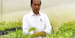 Solusi Konkret Kasus Dugaan Ijazah Palsu, Pakar Hukum Pidana Berharap Sikap Negarawan Jokowi Lebih Dikedepankan