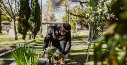 Memang Boleh Menanam Tanaman di Atas Makam? Begini Hukumnya