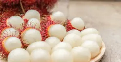 Bisa Atasi Anemia, Manfaat Buah Rambutan dalam Menjaga Kesehatan Tubuh