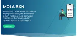 Calon ASN Wajib Tahu Mola BKN, Bisa Pantau Progres Penetapan NI PPPK dengan Mudah