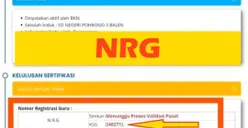 NRG Sudah Terbit! Inilah 6 Langkah yang Harus Guru Lakukan Supaya Tunjangan Cair
