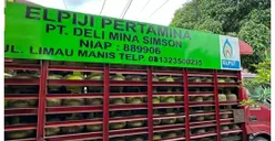 Pemerintah Terapkan Kebijakan Baru Penjualan LPG 3 Kg Mulai 1 Februari 2025: Pengecer Harus Terdaftar sebagai Pangkalan Resmi, Di Mana Daftarnya?