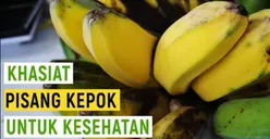 Termasuk Kategori Tanaman Rerumputan, Ini 9 Manfaat dari Rutin Makan Pisang Kepok Bagi Kesehatan!