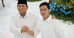 Presiden Siap Ambil Alih Sengketa Empat Pulau yang Melibatkan Kepala Daerah Aceh dan Sumut, Komisi II Prediksi Hasilnya