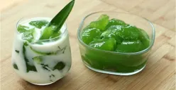 Resep Es Jeli Hijau Bayam Ala Chef Devina Hermawan: Segar dan Praktis, Paling Disukai Anak-anak