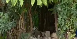 Begini Penampakan Rumah Pelaku Pembunuh Aktor Sandy Permana, Kosong dan Tidak Terawat