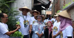 PNM Dorong Ketahanan Pangan Lewat Urban Farming Lorong Mekaar