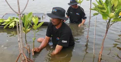 BRI Rayakan Hari Lingkungan Hidup Sedunia dengan Aksi Nyata Tanam Pohon