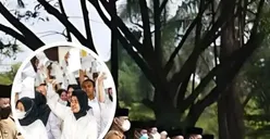 Setelah Lolos Seleksi Administrasi PPPK Tahap 2 Apa yang Harus Dilakukan? Ada Cetak Kartu Pendaftaran Loh! 
