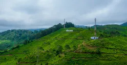 Rekomendasi Penginapan dan Hotel Terbaik di Puncak untuk Liburan Nyaman