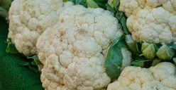 Sering Kita Makan! 5 Sayur Ini Bisa Merusak Kesehatan Jika Dikonsumsi Sembarangan