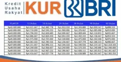 Nasabah Mengeluh KUR Mikro BRI 2025 Sudah Tidak Bisa Diajukan, Berikut Alternatif Pinjaman BRI untuk UMKM