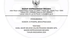 Penting! Ini Arti Kode P,L, U1,U3, E1, E2, E3 Dan TMS di Hasil Seleksi Tes CPNS 2024, Awas Keliru