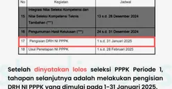 Jadi Penentu NIP, Ini 6 Jenis Dokumen yang Wajib Diperhatikan Calon Tenaga PPPK saat Mengisi Daftar Riwayat Hidup!