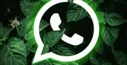 Awas dibobol Rekening! Penipuan di WhatsApp Makin Marak, Kenali Modus Terbaru serta Ciri-ciri WA Kamu Disadap