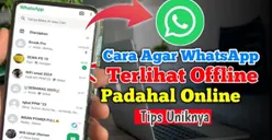 Cara Mengaktifkan Fitur Offline WhatsApp agar Bebas Gangguan Tanpa Harus Mematikan Sambungan Data Jaringan, Efektif!