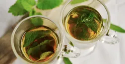 Ramuan Herbal Alami Pereda Nyeri saat Haid ala dr Zaidul Akbar, Dijamin Ampuh!