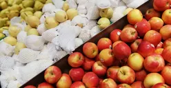 Cara Menurunkan Kolesterol Tanpa Obat, Coba Konsumsi Makanan Ini di Pagi Hari