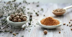 Bukan Cuma Harum, Oregano Punya 10 Manfaat dan Khasiat bagi Kesehatan, Bisa Meredakan Peradangan!