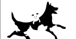 Tes Kepribadian: Seberapa Dewasa Pemikiranmu? Ungkap dengan Jawab Berapa Jumlah Anjing di Gambar Ini!
