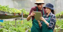 4 Ide Usaha Pertanian yang Bisa Dilakukan di Desa, Bisnis Mudah Untung Berlimpah!