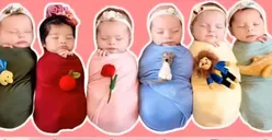 Gambar Bayi Mana yang Paling Kamu Sukai? Jawabannya Tentukan Kapan Kamu Bertemu Pasangan Idealmu
