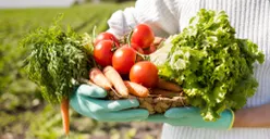 Mau Jadi Petani Sukses? Ini 5 Ide Usaha Pertanian yang Memiliki Peluang Menjanjikan di Masa Depan