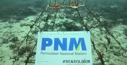 Peringati Sumpah Pemuda, PNM Gandeng Pemuda dalam Konservasi Terumbu Karang di Ambon