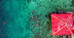 7 Spot Wisata dengan Nuansa Alam yang Ada di Jakarta dan Tidak Boleh Kamu Lewatkan, Bikin Terpesona