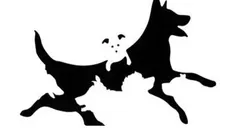 Tes Kepribadian: Berapa Jumlah Anjing yang Kamu Lihat? Jawabannya akan Ungkap Usia Pemikiranmu