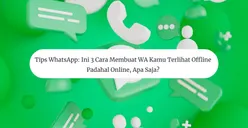 Tips WhatsApp: Ini 3 Cara Membuat WA Kamu Terlihat Offline Padahal Online, Apa Saja?