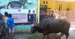 Relawan Untuk Majukan Indonesia (RUMI) Semarakkan Idul Adha dengan Qurban di Bandung dan Kabupaten Garut